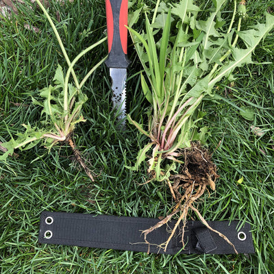 Keyfit Tools Weed Puller Weeding Knife for Deep Tap Root Weeds Like Dandelions, Crabgrass & Other Clump Grassy Weeds Stainless Steel Manual Weeder Keyfit Tools Weed Puller Weeding Knife for Deep Tap Root Weeds Like Dandelions, Crabgrass & Other Clump Grassy Weeds Stainless Steel Manual Weeder